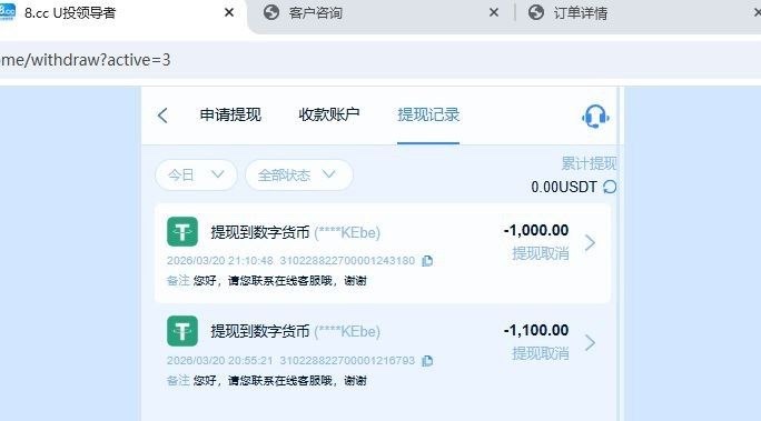 全网最强杀猪盘 8.cc,打了一下PG电子和WG电子,结果出款1100U的时候客服说套利退本金