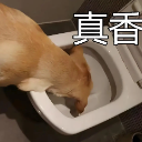 开云体育